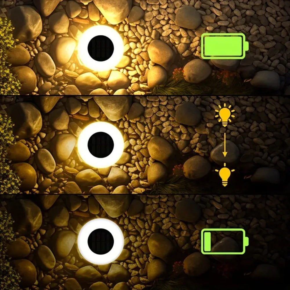Shynoa | Solar LED Pathway Lights for Garden & Walkway