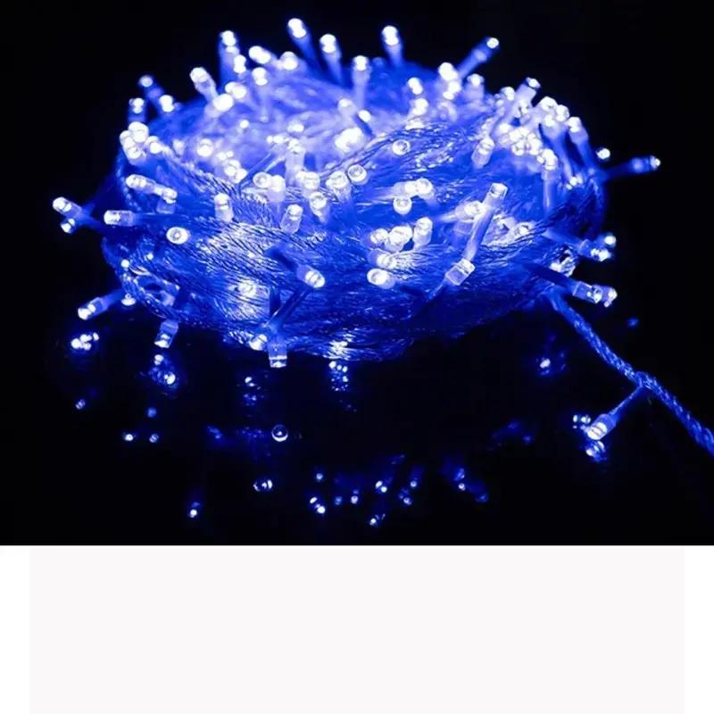 Shyntha | Outdoor LED Lights for Festive Celebrations