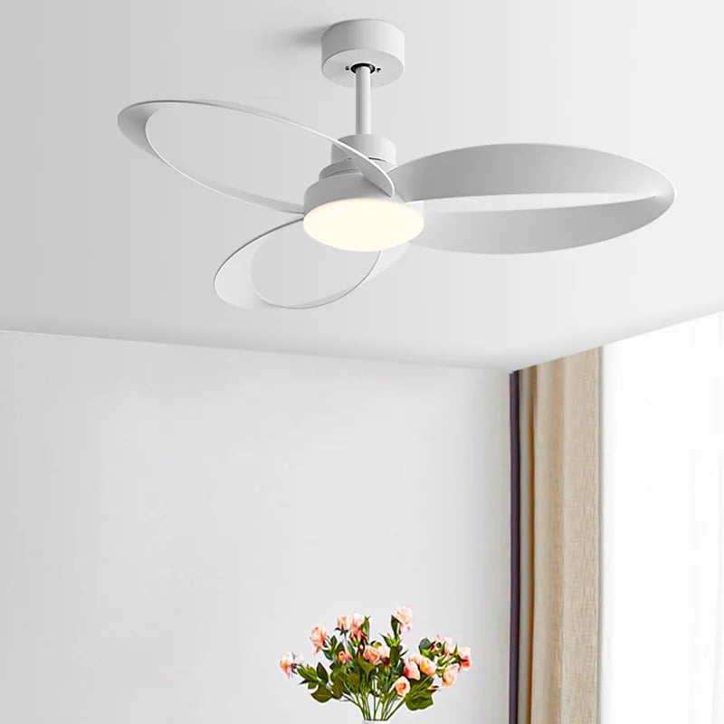 AeroLume | Modern Ceiling Fan with Loop-Shaped Wooden Blades & LED Light